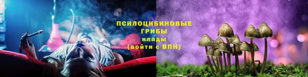метадон Козельск