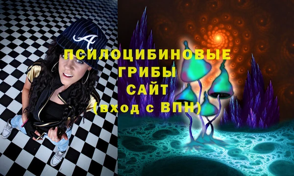 apvp Алексин